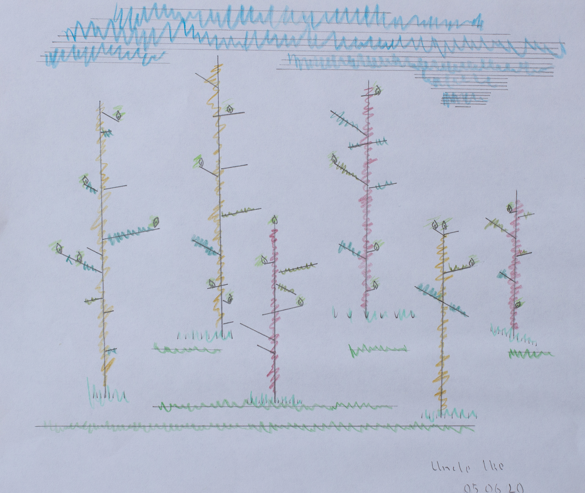 forest