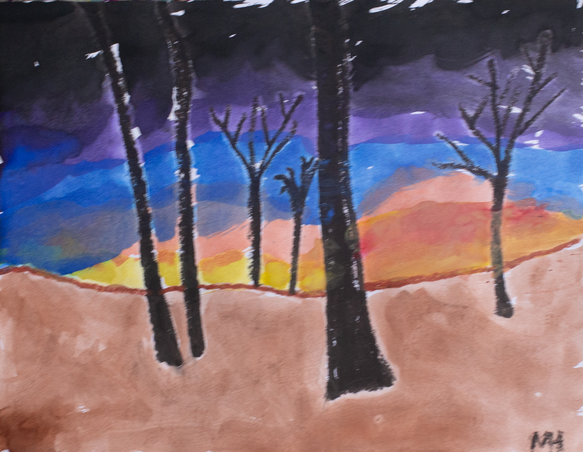 trees in front of a sunset